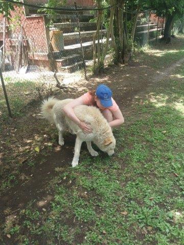 WhatsApp Image 2019-06-22 at 13.11.25