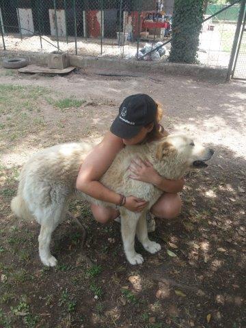 WhatsApp Image 2019-06-22 at 13.11.55