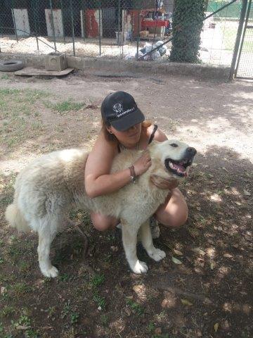 WhatsApp Image 2019-06-22 at 13.12.21