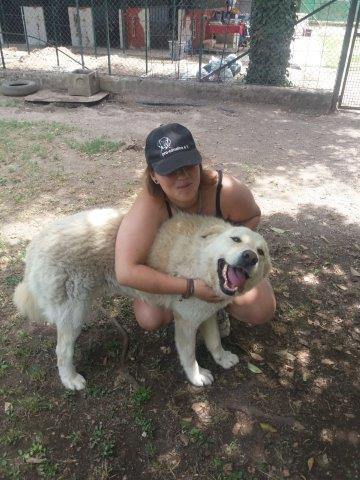 WhatsApp Image 2019-06-22 at 13.12.25