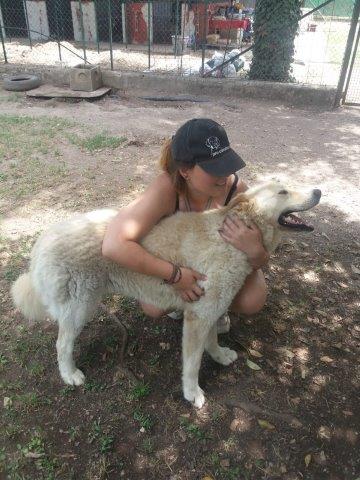 WhatsApp Image 2019-06-22 at 13.12.35