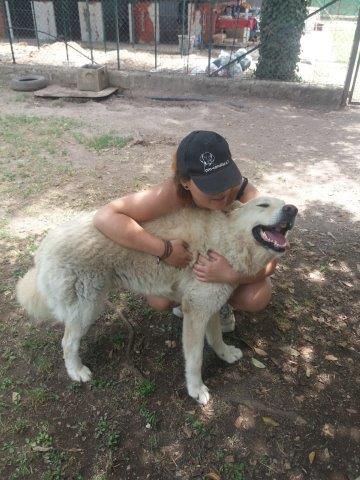 WhatsApp Image 2019-06-22 at 13.12.36