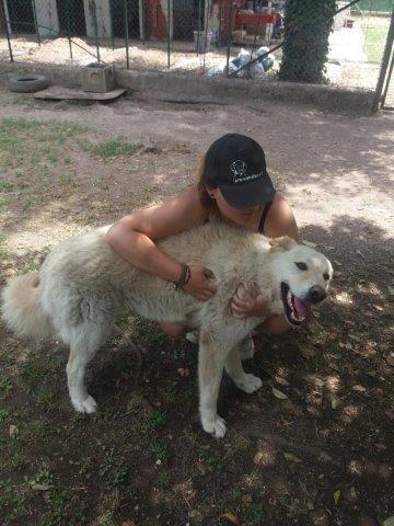 WhatsApp Image 2019-06-22 at 13.12.37