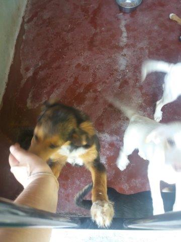 WhatsApp Image 2019-06-22 at 13.12.38