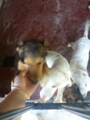 WhatsApp Image 2019-06-22 at 13.12.39