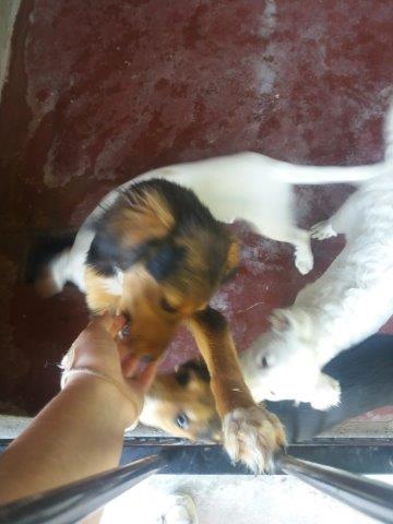 WhatsApp Image 2019-06-22 at 13.12.41