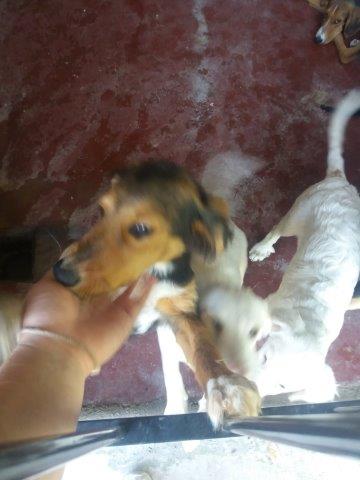 WhatsApp Image 2019-06-22 at 13.12.42