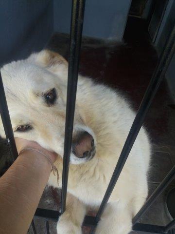 WhatsApp Image 2019-06-22 at 13.12.44