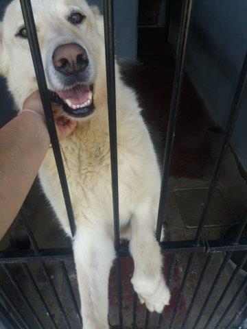 WhatsApp Image 2019-06-22 at 13.12.45 (1)