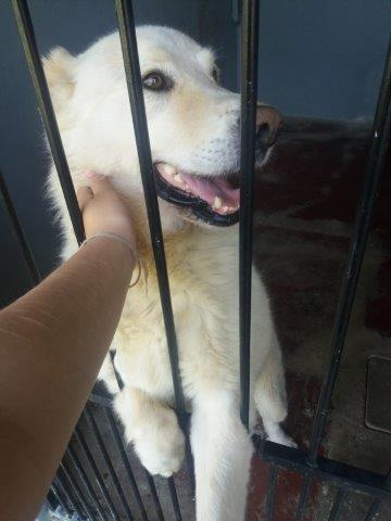 WhatsApp Image 2019-06-22 at 13.12.45