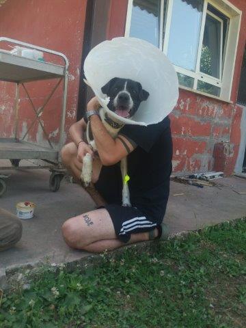 WhatsApp Image 2019-06-22 at 13.12.49