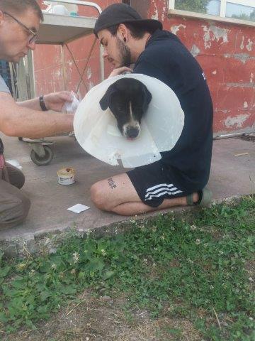 WhatsApp Image 2019-06-22 at 13.13.08