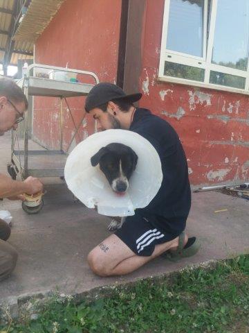 WhatsApp Image 2019-06-22 at 13.13.39