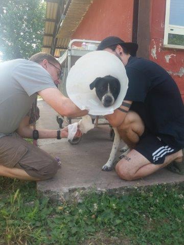 WhatsApp Image 2019-06-22 at 13.13.40