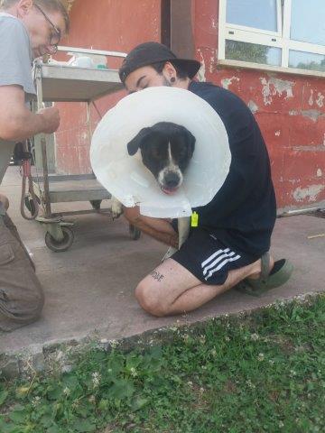 WhatsApp Image 2019-06-22 at 13.13.47