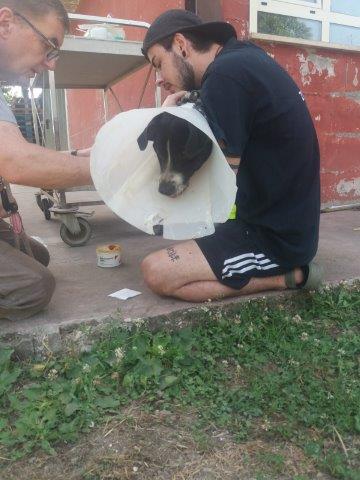 WhatsApp Image 2019-06-22 at 13.13.49