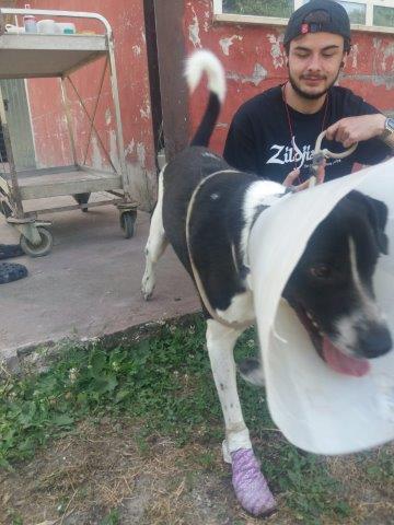 WhatsApp Image 2019-06-22 at 13.13.50 (1)