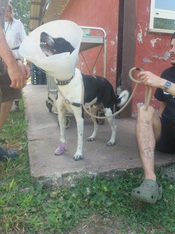 WhatsApp Image 2019-06-22 at 13.13.51 (1)