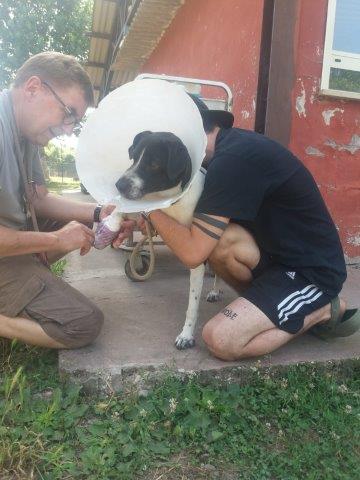 WhatsApp Image 2019-06-22 at 13.13.51 (2)