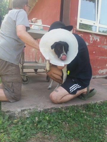 WhatsApp Image 2019-06-22 at 13.13.52 (2)