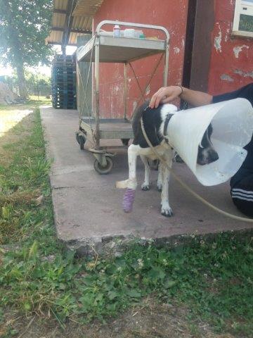 WhatsApp Image 2019-06-22 at 13.13.52