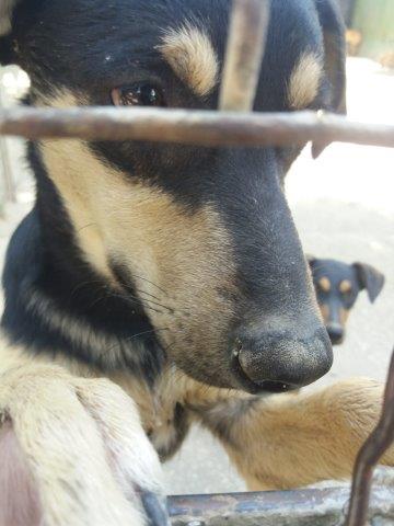 WhatsApp Image 2019-06-22 at 13.15.20