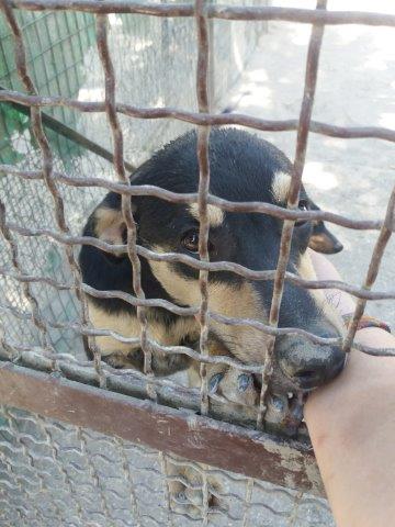 WhatsApp Image 2019-06-22 at 13.15.24