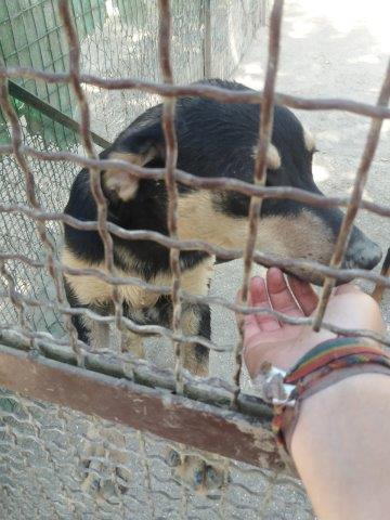 WhatsApp Image 2019-06-22 at 13.15.27