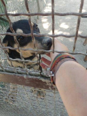 WhatsApp Image 2019-06-22 at 13.15.29