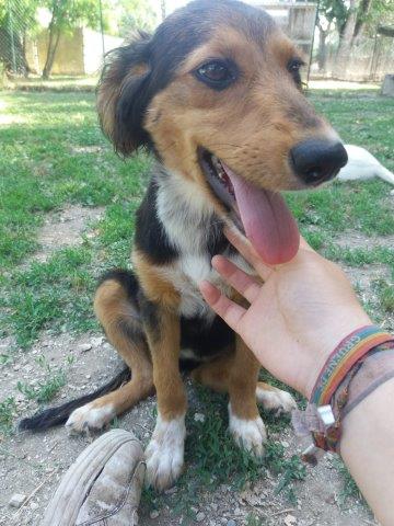 WhatsApp Image 2019-06-22 at 13.15.39