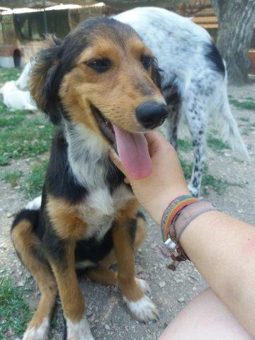 WhatsApp Image 2019-06-22 at 13.15.40