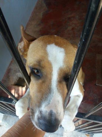 WhatsApp Image 2019-06-22 at 13.15.56