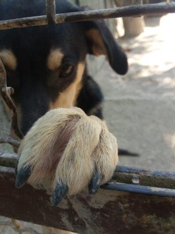 WhatsApp Image 2019-06-22 at 13.15.57