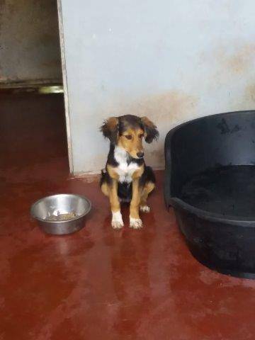 WhatsApp Image 2019-06-22 at 13.16.25