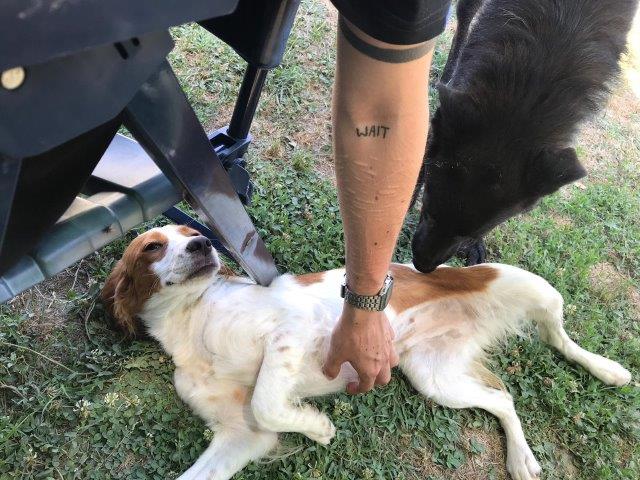 WhatsApp Image 2019-06-22 at 13.16.26