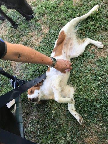 WhatsApp Image 2019-06-22 at 13.16.28 (1)