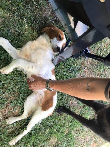 WhatsApp Image 2019-06-22 at 13.16.28