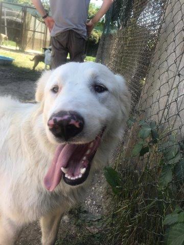 WhatsApp Image 2019-06-22 at 13.16.29 (1)