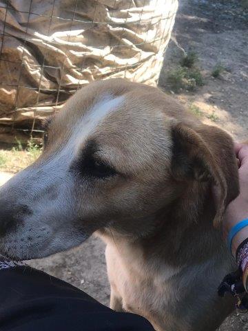 WhatsApp Image 2019-06-22 at 13.16.31