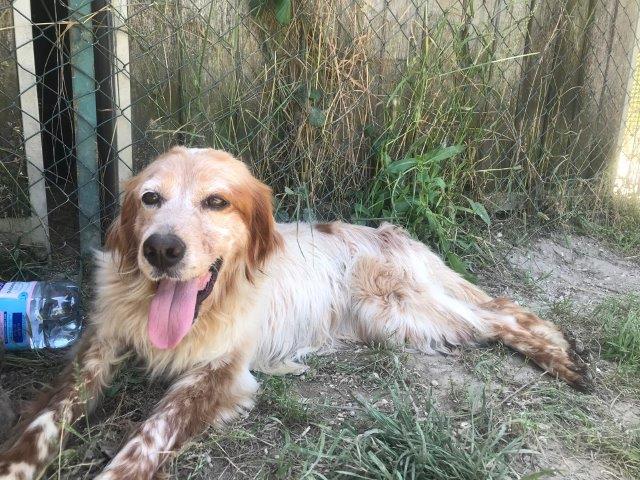 WhatsApp Image 2019-06-22 at 13.16.32