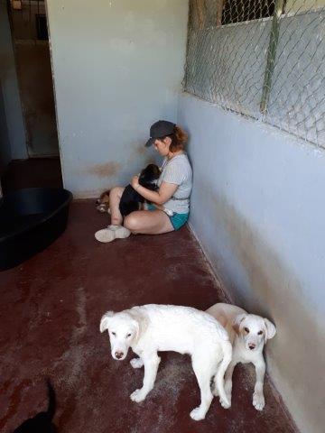 WhatsApp Image 2019-06-22 at 13.16.33 (1)