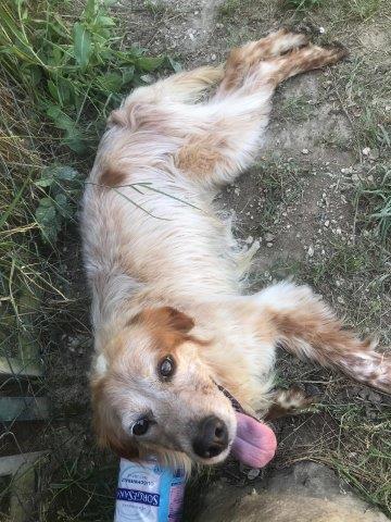 WhatsApp Image 2019-06-22 at 13.16.33