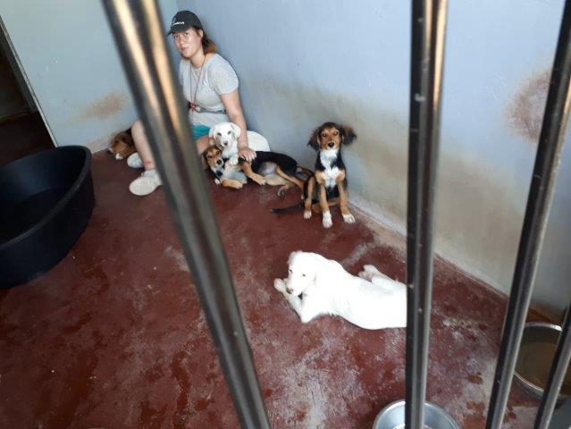 WhatsApp Image 2019-06-22 at 13.16.34 (1)