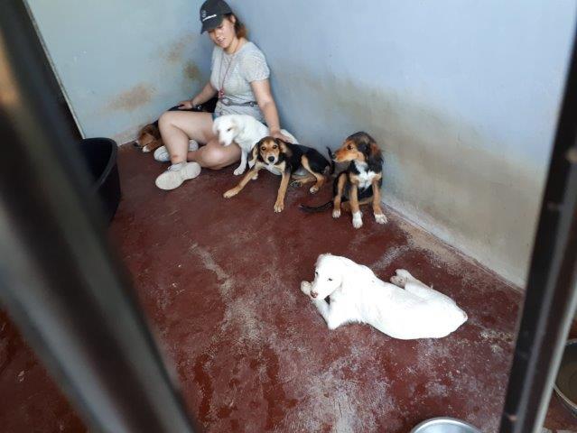 WhatsApp Image 2019-06-22 at 13.16.34 (2)