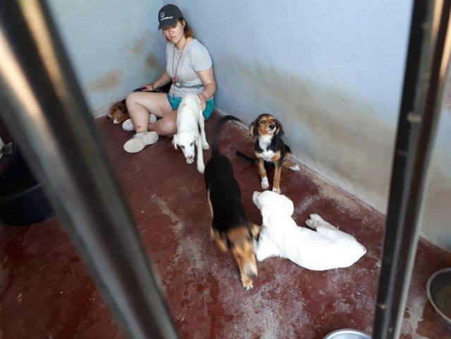 WhatsApp Image 2019-06-22 at 13.16.34