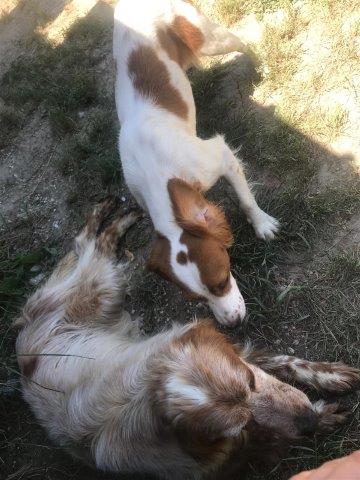 WhatsApp Image 2019-06-22 at 13.16.36 (2)