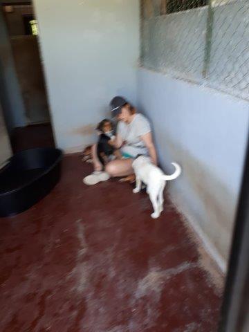 WhatsApp Image 2019-06-22 at 13.16.36