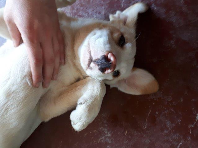 WhatsApp Image 2019-06-22 at 14.07.02 (1)