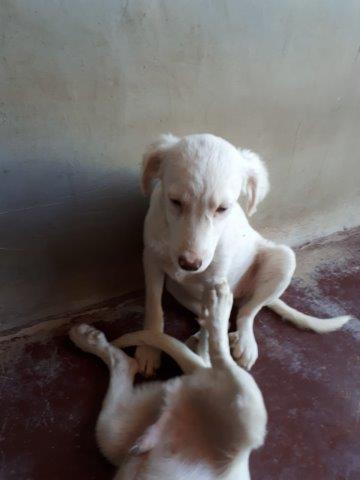 WhatsApp Image 2019-06-22 at 14.07.02 (2)