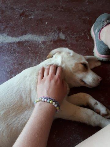 WhatsApp Image 2019-06-22 at 14.07.02 (3)